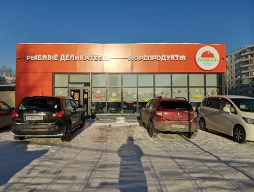 ТЗ Краснообск р.п. 244